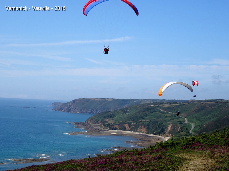 La pierre pauquelée.jpg - Premiére vue sur le Nez de Jobourg vu du site de la Pierre Pauquelée.